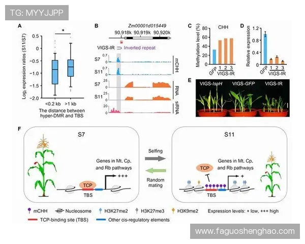 南京乒乓球队速度表现数据分析揭示训练效果与比赛策略的关系 南京乒乓球队速度表现数据分析揭示训练效果与比赛策略的关系