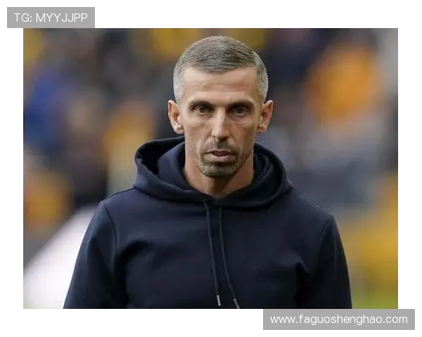 狼队与布莱顿对决前瞻分析及比赛结果预测