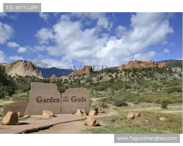 科罗拉多斯普林斯对决分析及比赛预测详解