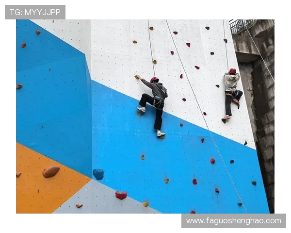 重庆飞盘队在攀岩联赛中的战术运用与表现分析