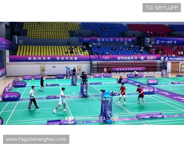 南京羽毛球队在锦标赛中的技术表现分析与点评