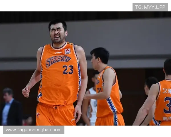 上海篮球队的全面转型与创新发展之路探讨 上海篮球队的全面转型与创新发展之路探讨